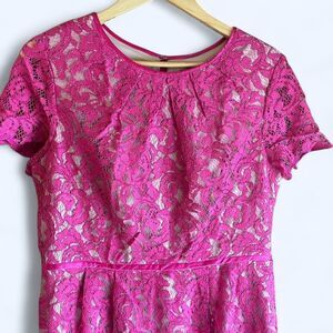 Vintage-Inspired Adrianna Papell Fuchsia Lace Dress (US 14 / UK 18)